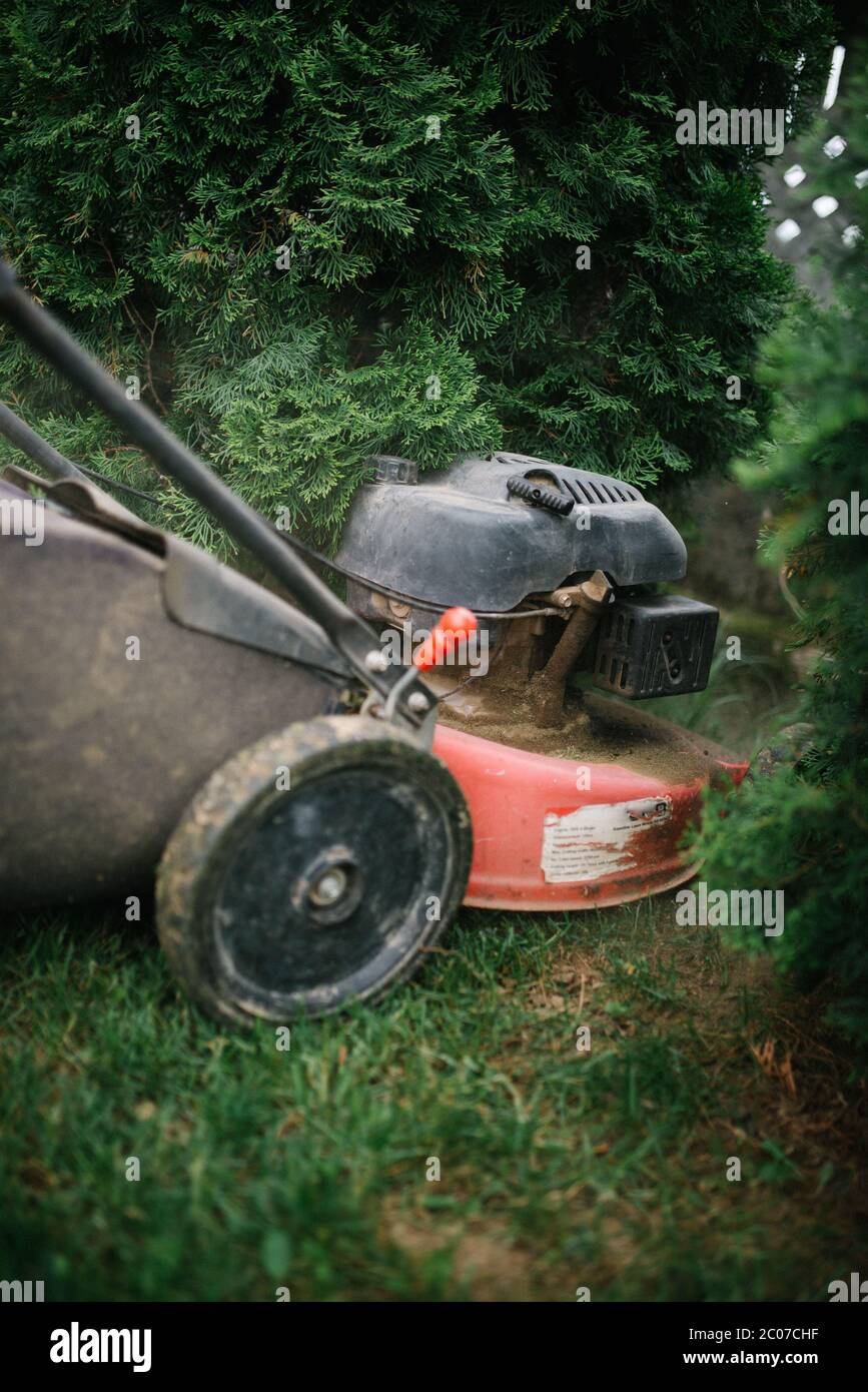 Falciatura del prato in corso nel primo piano del giardino. Foto Stock