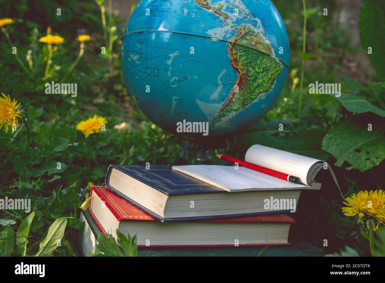 Scuola all'aperto, libri antichi, note pad, matita e globo terrestre sull'erba verde Foto Stock