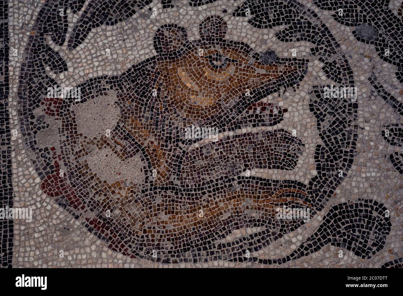 Orso bruno avvolgente, circondato da foglie di acanto. Mosaico tardoromano a Villa Romana del Casale, un maestoso palazzo o villa romana del 300 d.C., a Piazza Armerina, in Sicilia. Tra i resti di mosaici animali che una volta aiutarono a pavimentare un cortile peristilio ovoide che conduceva al Triclinium (sala da pranzo o sala banchetti). Foto Stock