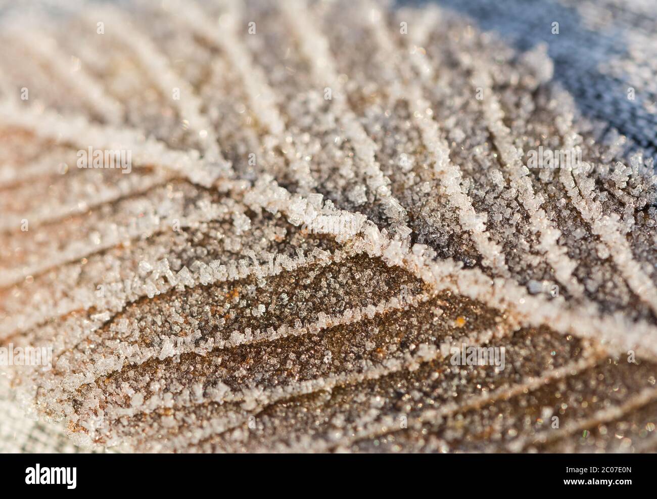Macro closeup di una foglia congelata in inverno coperta da bellissimi cristalli di ghiaccio Foto Stock