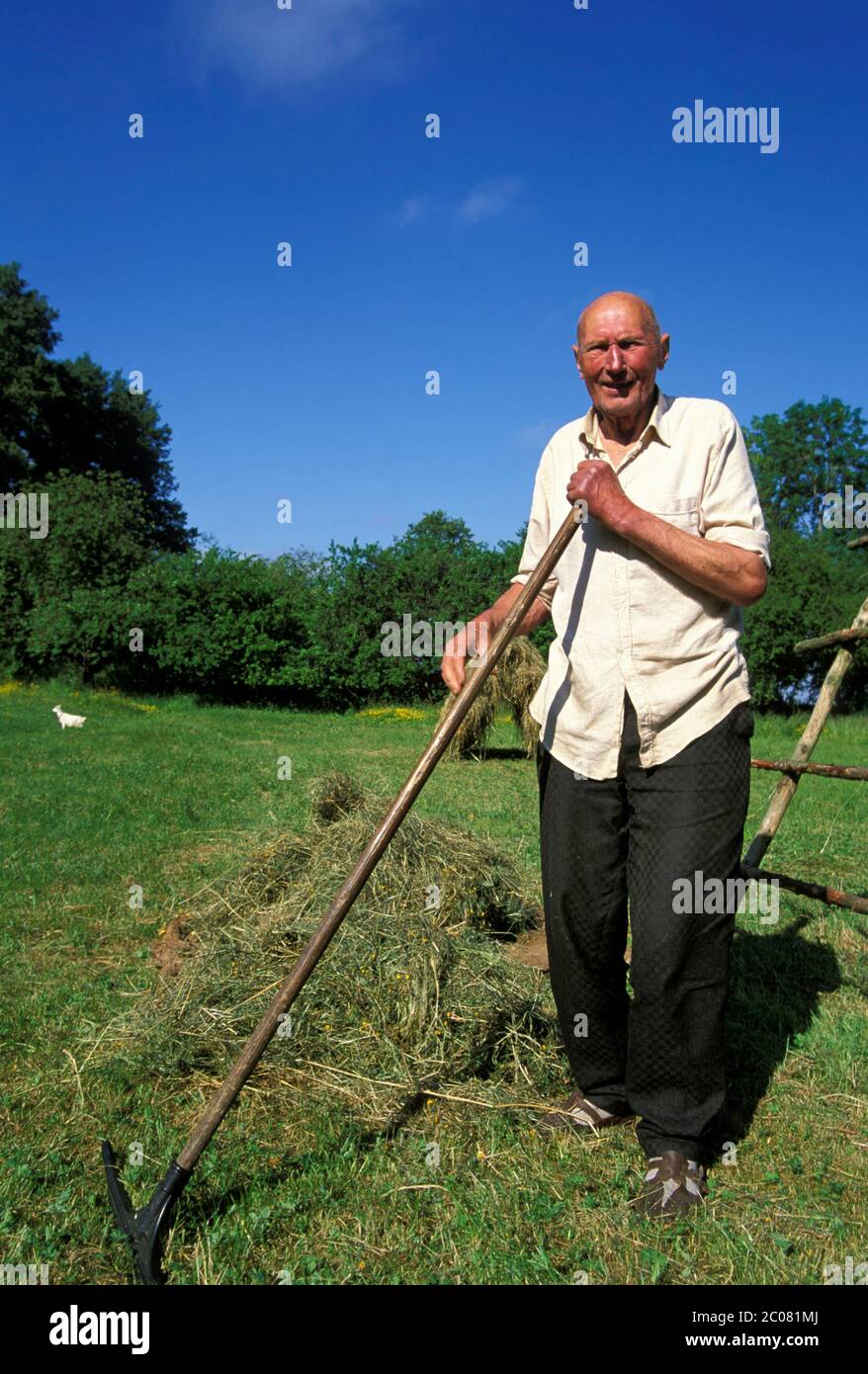 Vecchio agricoltore a Kurische Nehrung, Spagna curonese, Lituania, Baltici, Europa Foto Stock