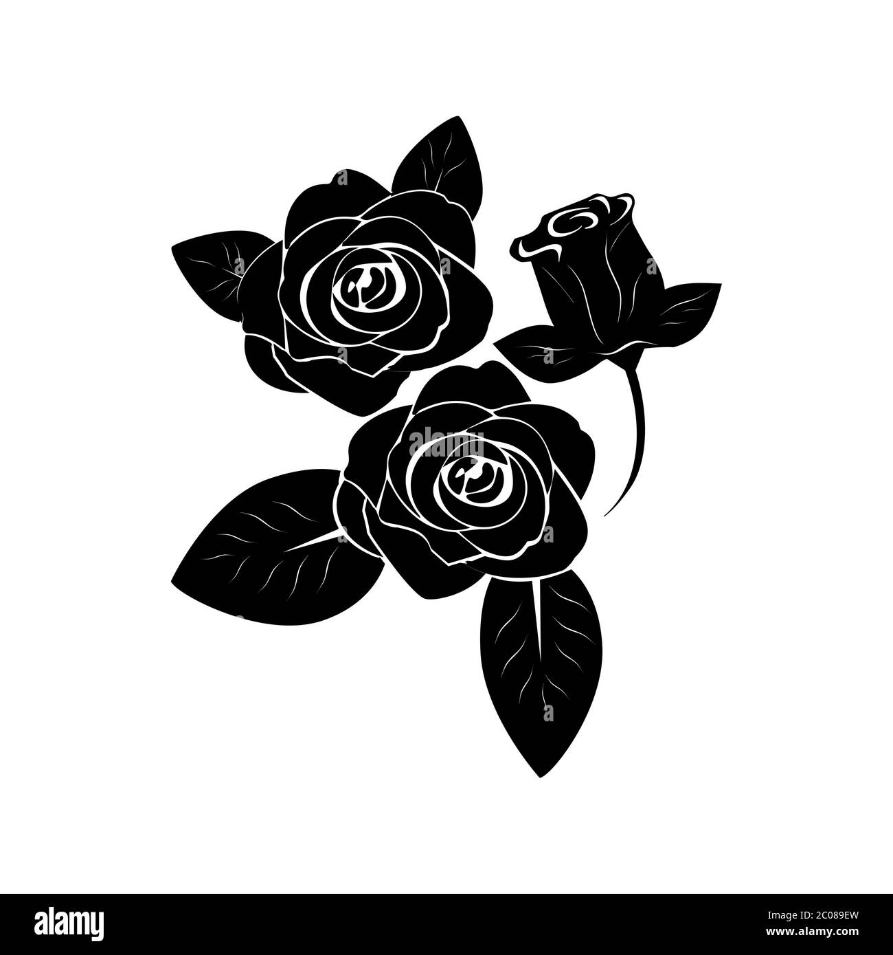 Rose fiori Illustrazione Vettoriale