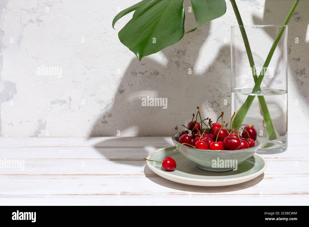 Ciliegie in una ciotola verde sotto foglie di monstera in un vaso di vetro su un rustico tavolo bianco e parete con ombre dure. Spazio di copia Foto Stock