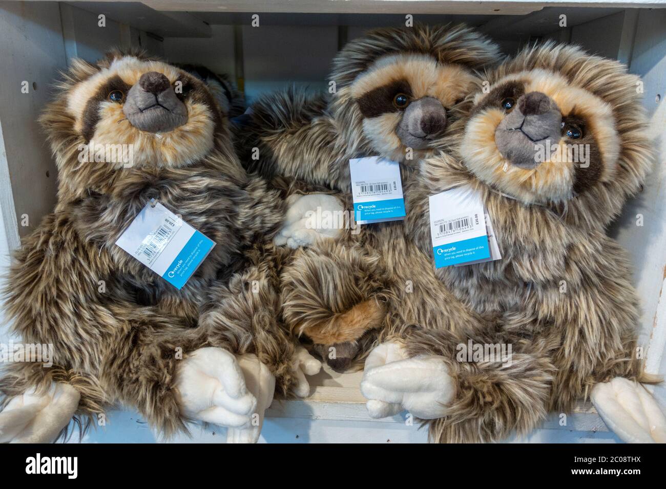 I giocattoli morbidi Sloth nel negozio di articoli da regalo Zoo di ZSL Whipsnade Zoo, Whipsnade, vicino a Dunstable, Inghilterra. Foto Stock