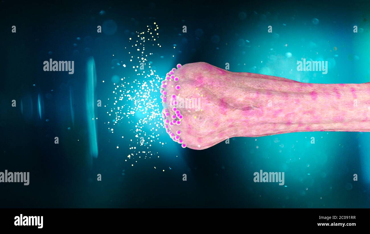 Connessioni Synapse. Struttura che permette ad un neurone (o cellula nervosa) di passare un segnale elettrico o chimico ad un altro neurone Foto Stock