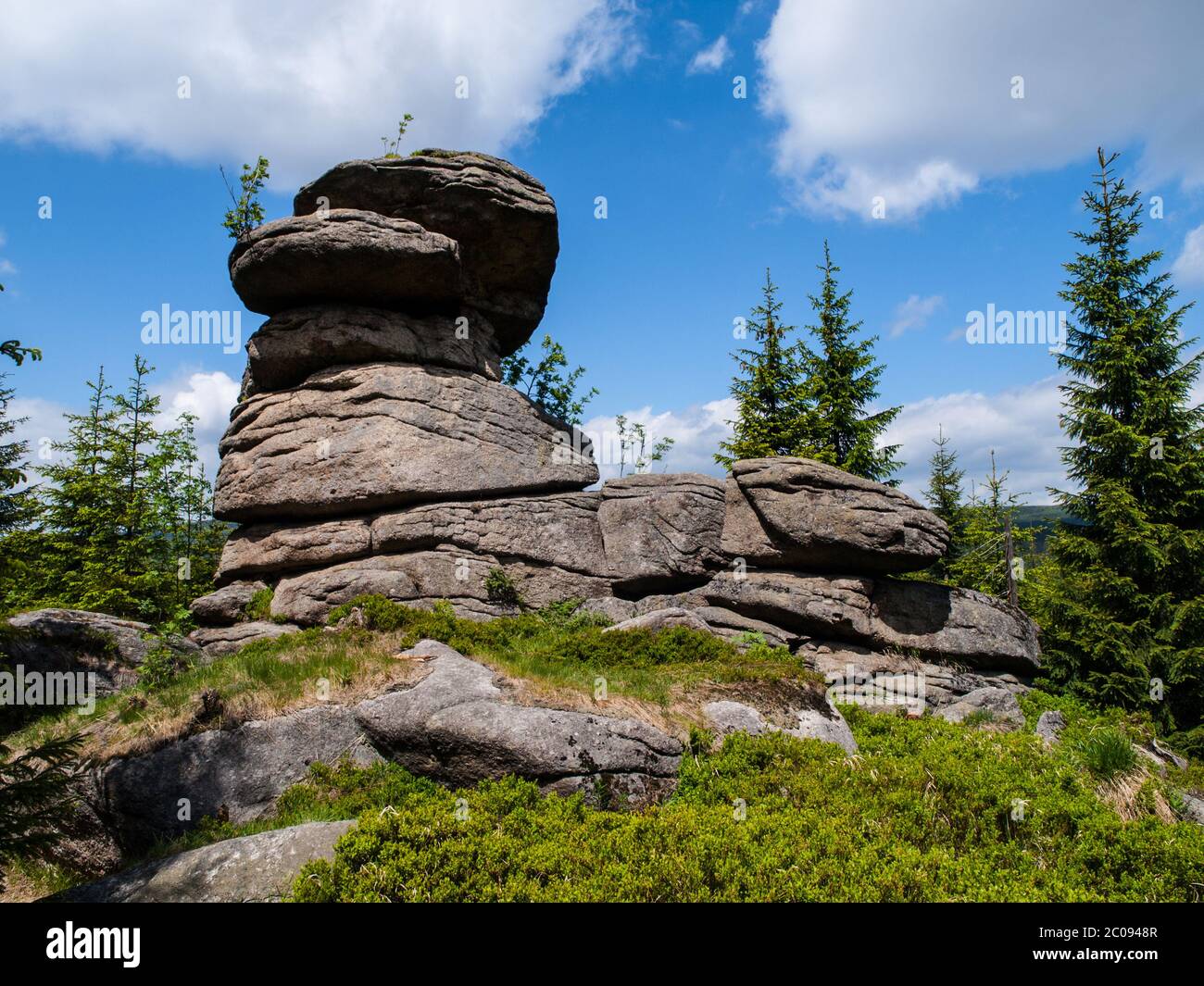 Roccia di funghi nelle montagne di Jizera (Repubblica Ceca) Foto Stock