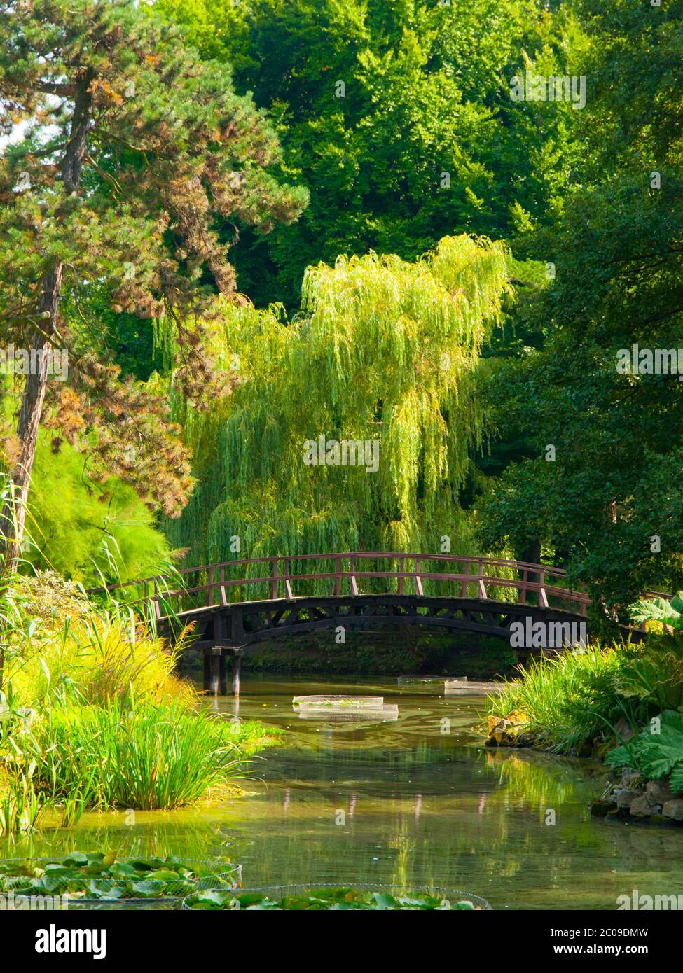 Ponte di legno sul lago in giardino in stile japanese Foto Stock