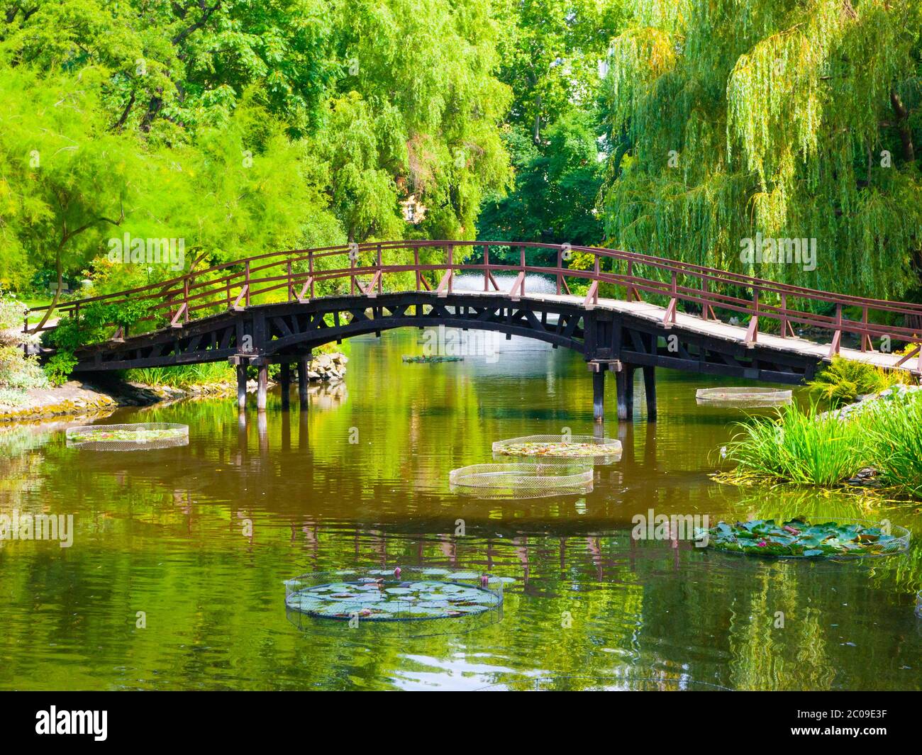 Ponte di legno sul lago in giardino in stile japanese Foto Stock