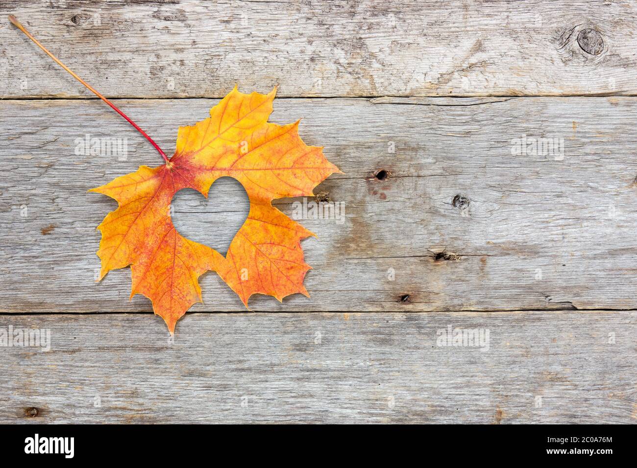 Caduta in metafore foto amore Foto Stock