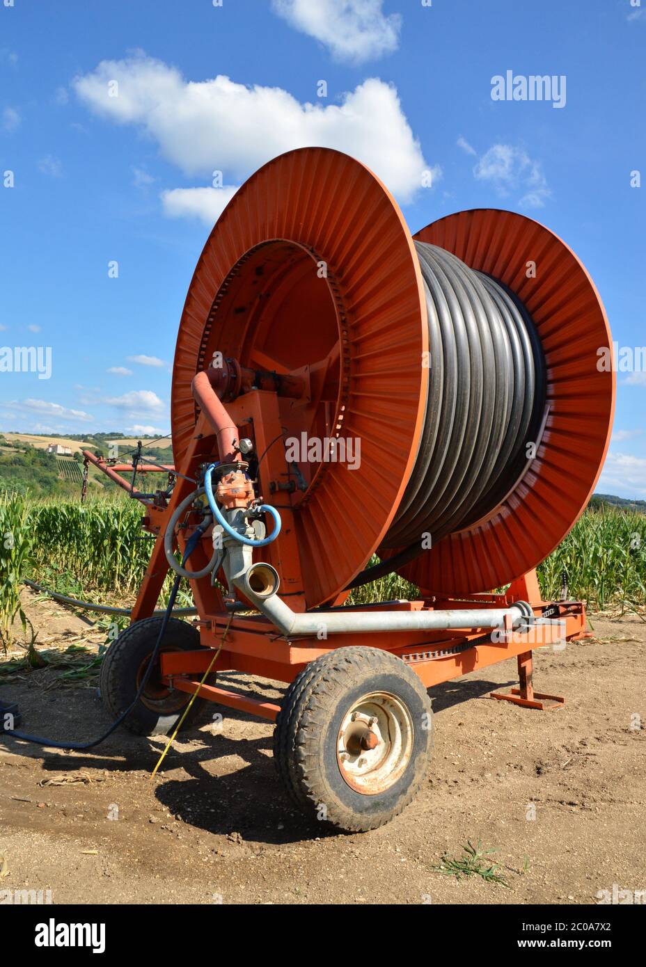 Sistema di irrigazione agricolo con un grande avvolgitubo in un campo di mais durante l'estate. Foto Stock