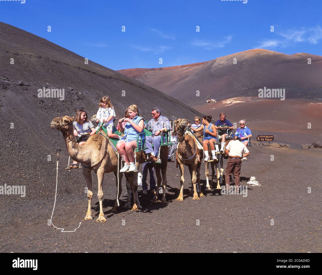 Passeggiate in cammello, Parco Nazionale Timanfaya, Lanzarote, isole Canarie, Regno di Spagna Foto Stock