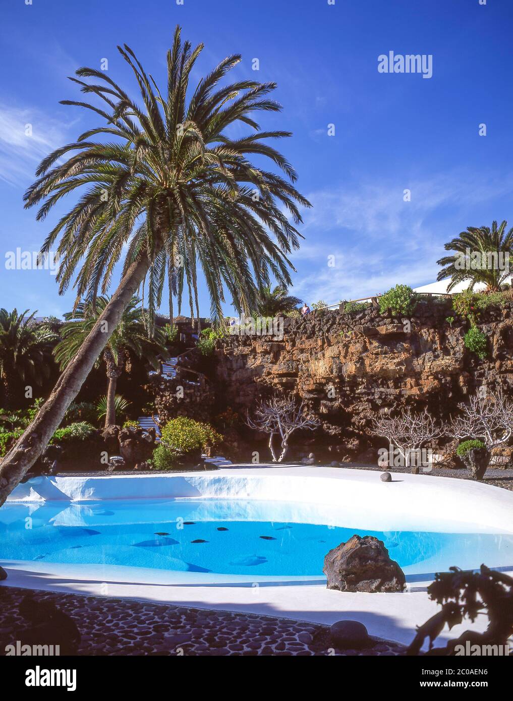 Piscina verde smeraldo, Jameos del Agua, vicino a Haria, Lanzarote, isole Canarie, Regno di Spagna Foto Stock