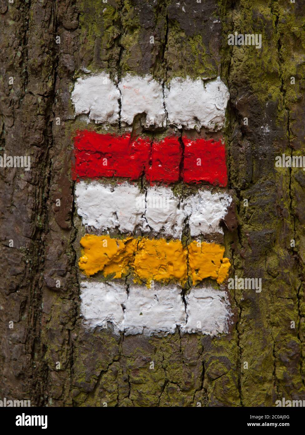 Segnaletica turistica ceca - contrassegno rosso e giallo sulla corteccia dell'albero Foto Stock