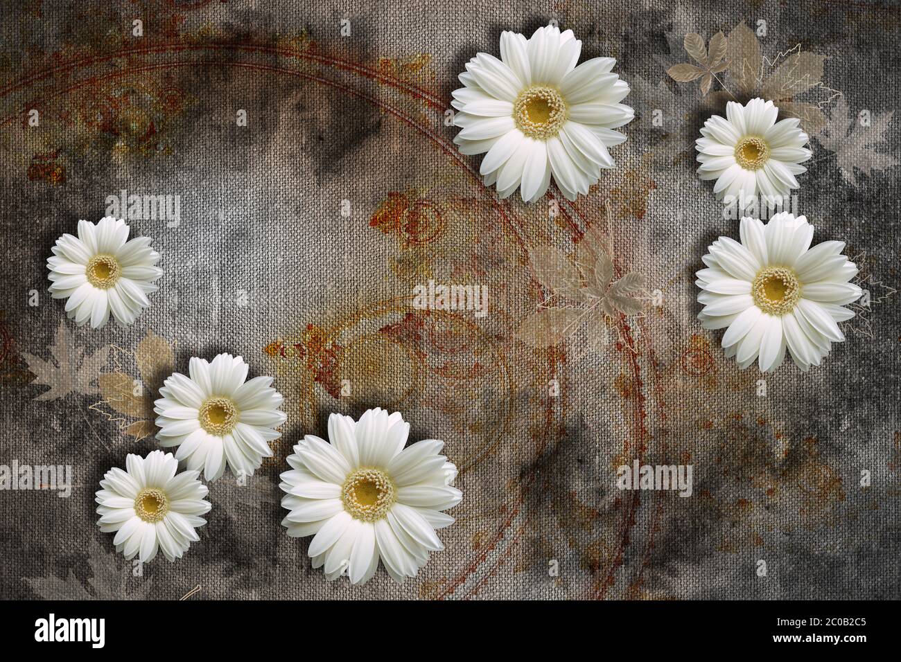 texture 3d per lo sfondo, camomili bianchi su texture astratte. Effetto murales. Foto Stock