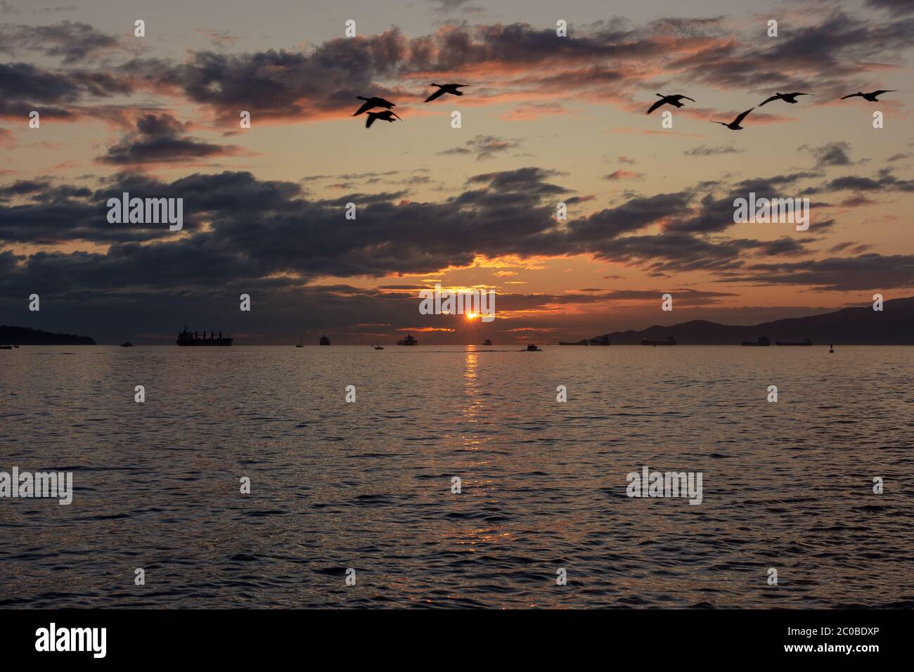 Tramonto sull'Oceano Pacifico con la migrazione di uccelli silhouette Foto Stock
