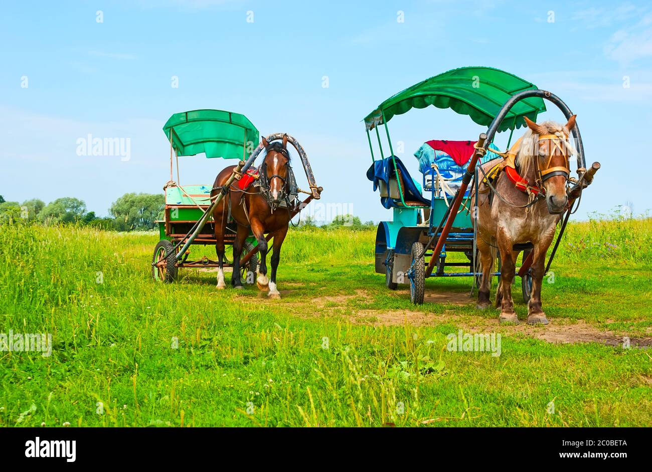 Due carrozze trainate da cavalli aspettano i turisti sul succoso prato di Bogolyubovo, in Russia Foto Stock