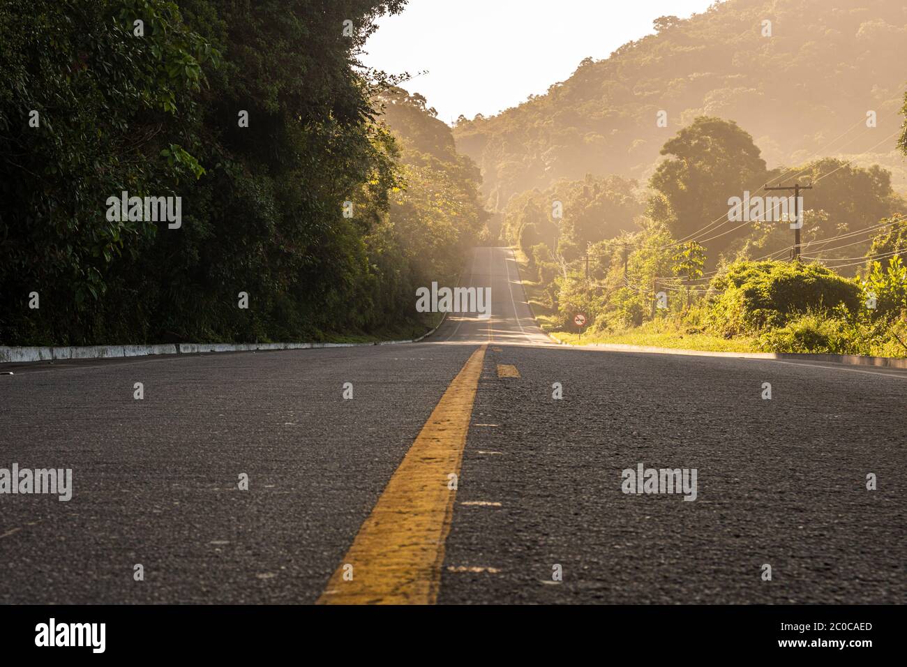 Luce dell'alba sulla strada al mattino con qualche nebbia. Foto Stock