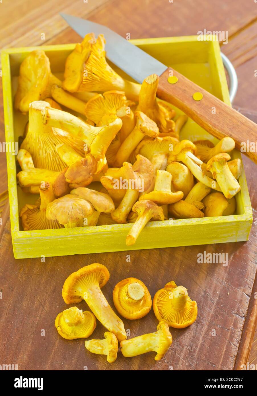 funghi Foto Stock