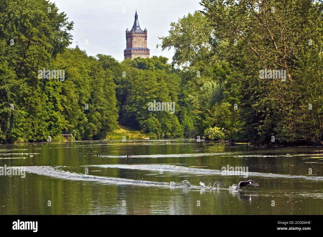 La natura con il castello Schwanenburg, Kleve, Germania Foto Stock