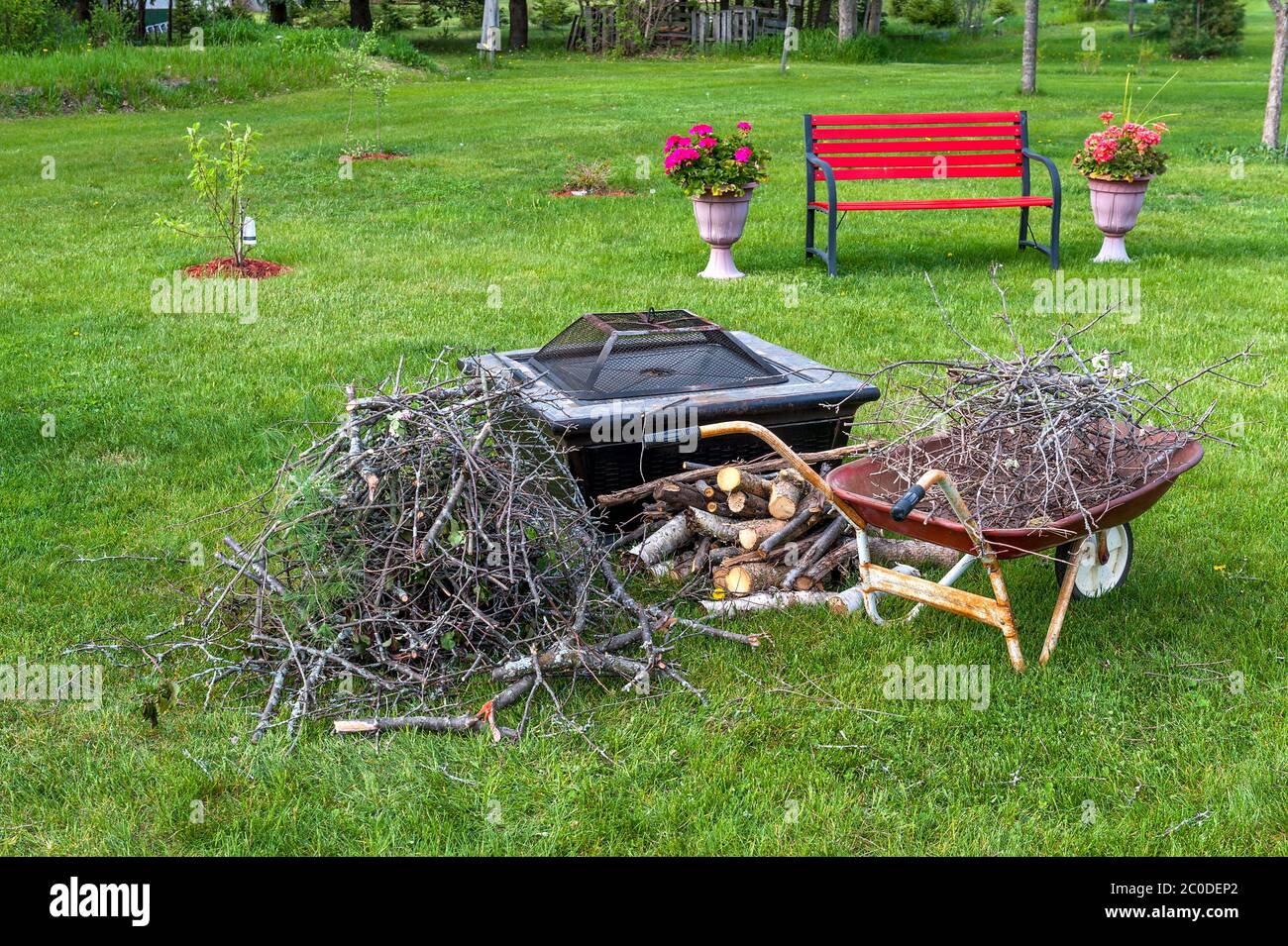 fuoco buca e legno per bruciare Foto Stock