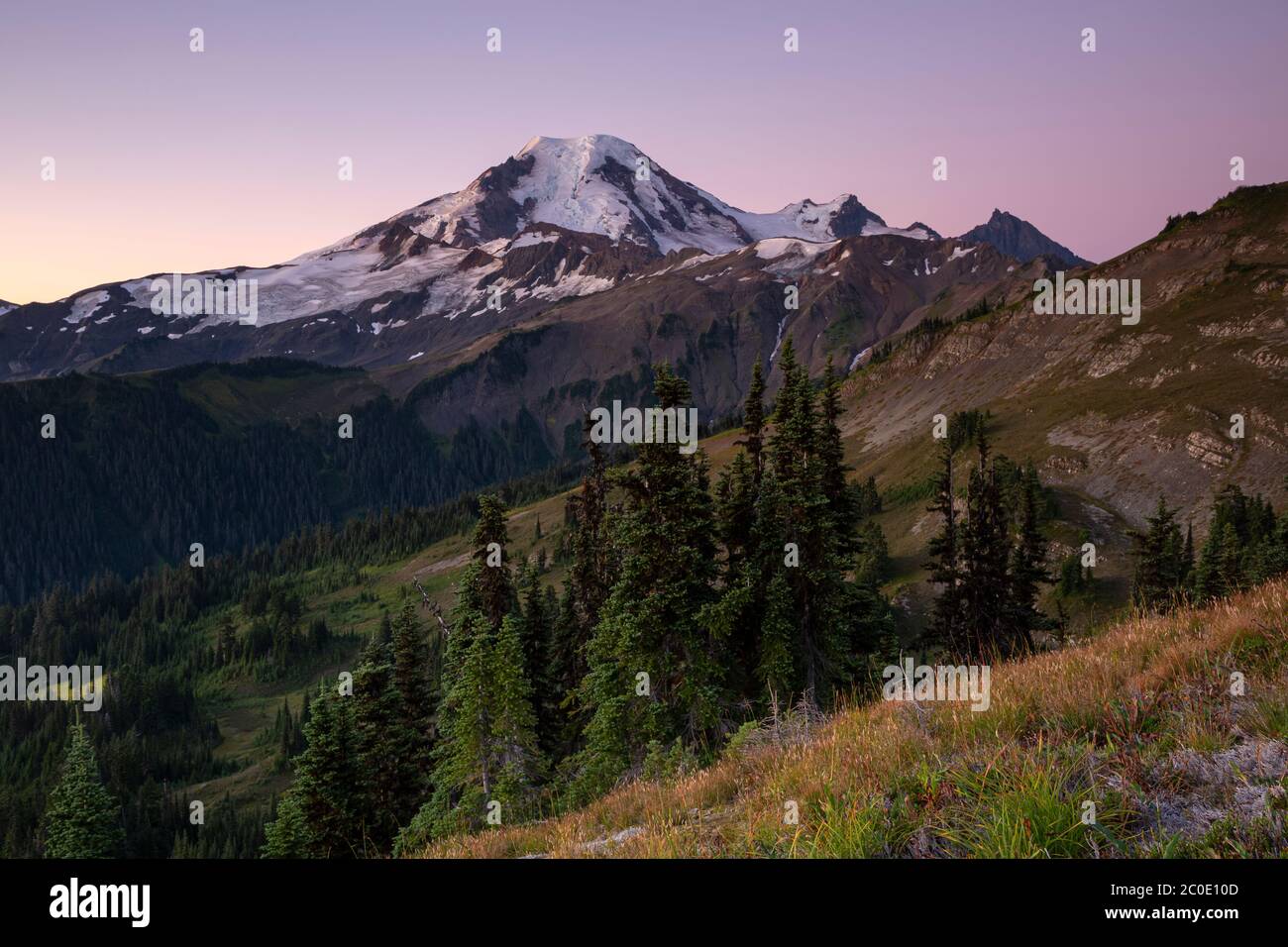 WA16665-00....WASHINGTON - luce di alba sul monte Baker da Skyline divide nella sezione di Monte Wilderness del Monte Baker - Snoqualmie National Fore Foto Stock