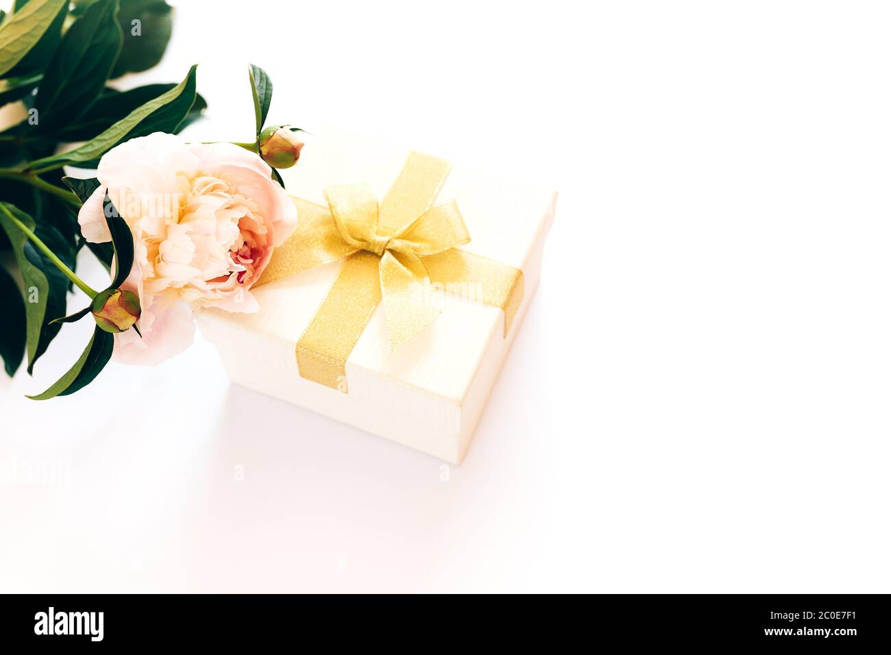 Bel bouquet di peonie e una scatola bianca con un arco giallo su sfondo bianco, peonie fiorite Foto Stock