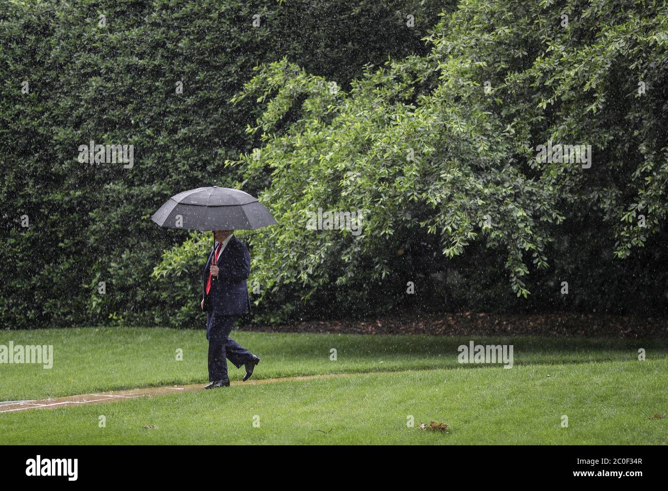 Il presidente degli Stati Uniti Donald J. Trump cammina sul prato sud della Casa Bianca in una pioggia pesante prima di salire a bordo di Marine One il 11 giugno 2020 a Washington, DC., per un viaggio a Dallas, Texas.Credit: Oliver Contreras/Pool via CNP /MediaPunch Foto Stock