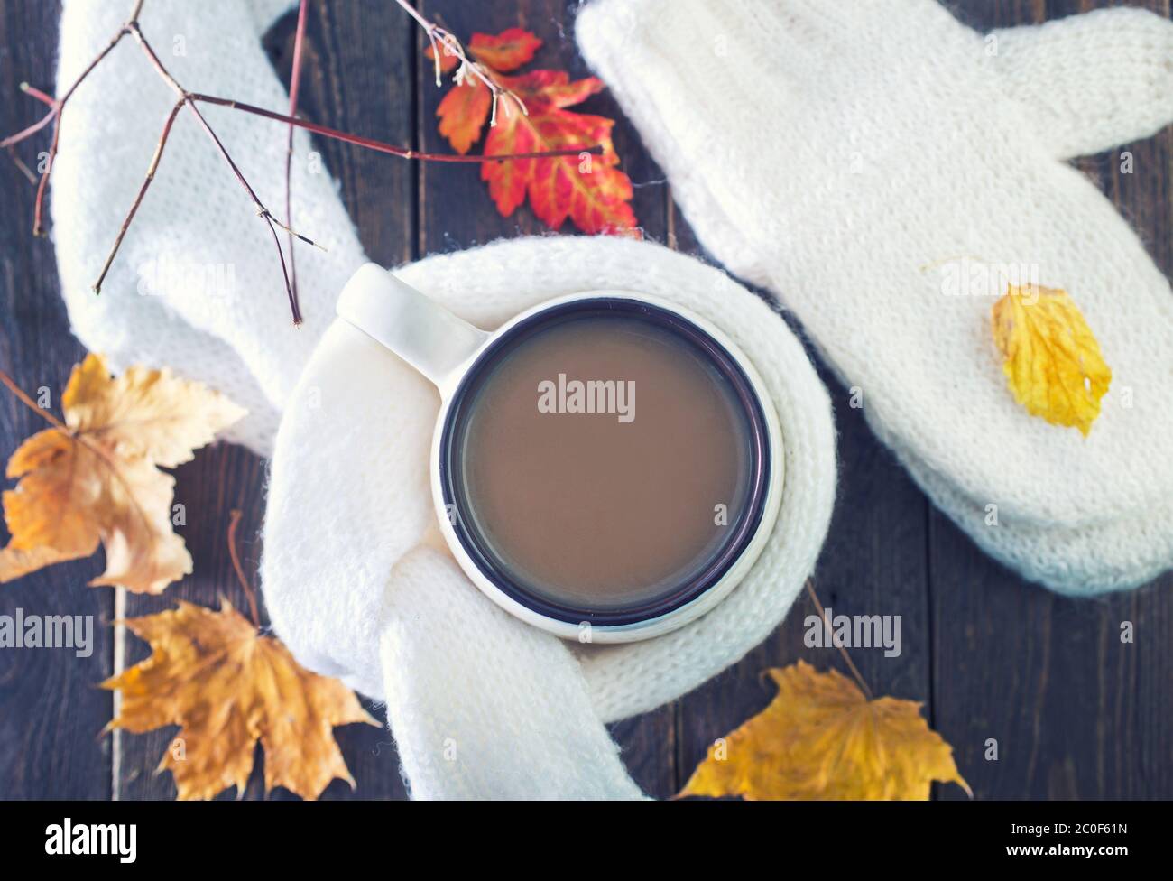 Bevanda di cacao Foto Stock