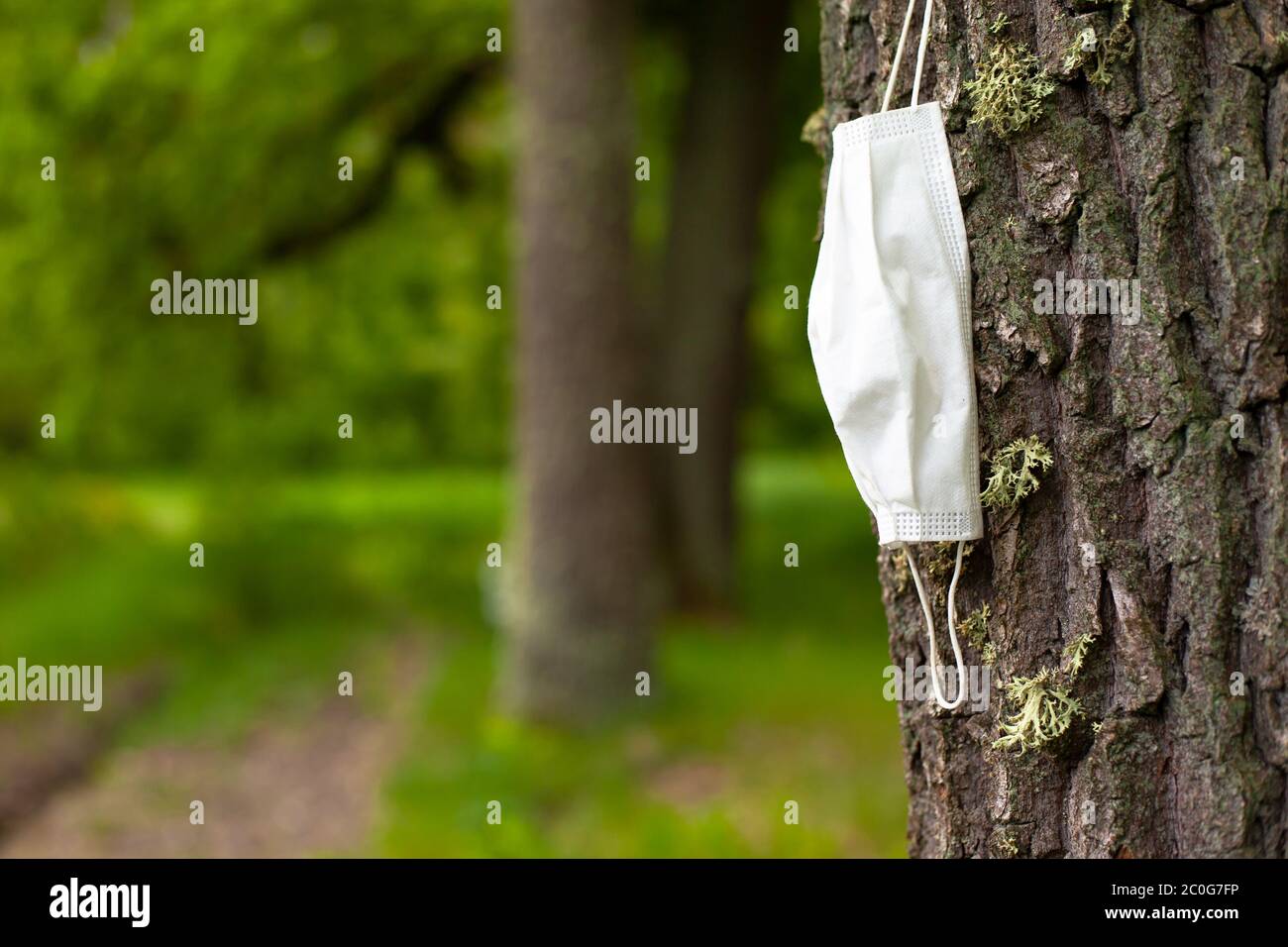 maschera medica su albero, epidemia virale e danno alla natura, problema ecologico. Foto Stock