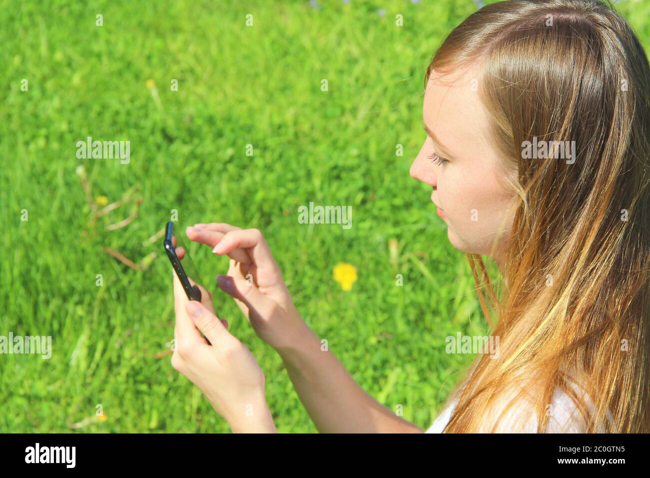Una giovane bella ragazza di aspetto europeo in una T-shirt bianca con lunghi capelli biondi si siede su erba verde, sul prato con un cellulare in mano, si ribalta attraverso i social network, lavora nel telefono. Foto Stock