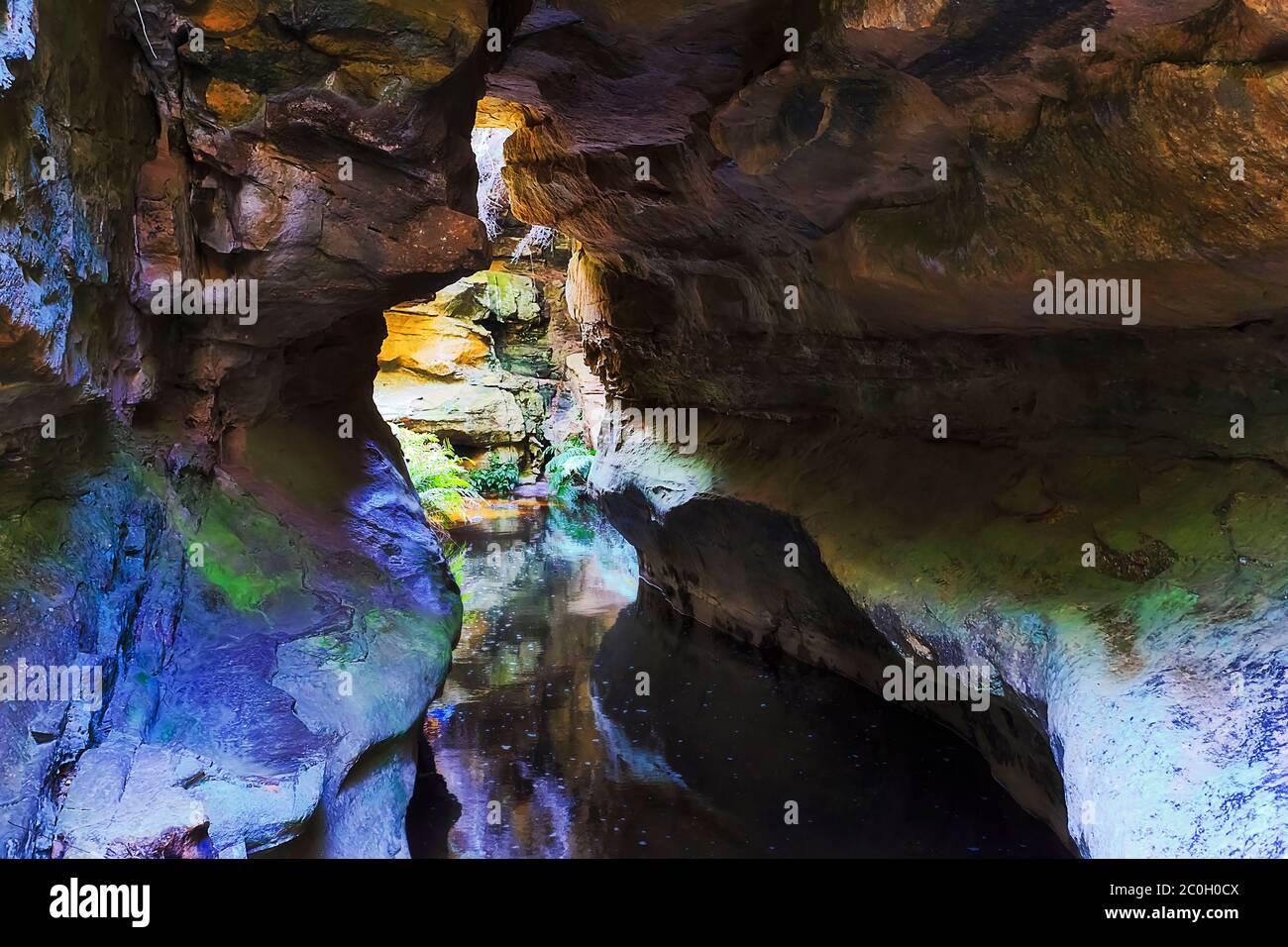 Soffitti in pietra di grotta in Australian Blue Mountains - pareti del Grand Canyon camminare lungo il torrente Greaves. Foto Stock