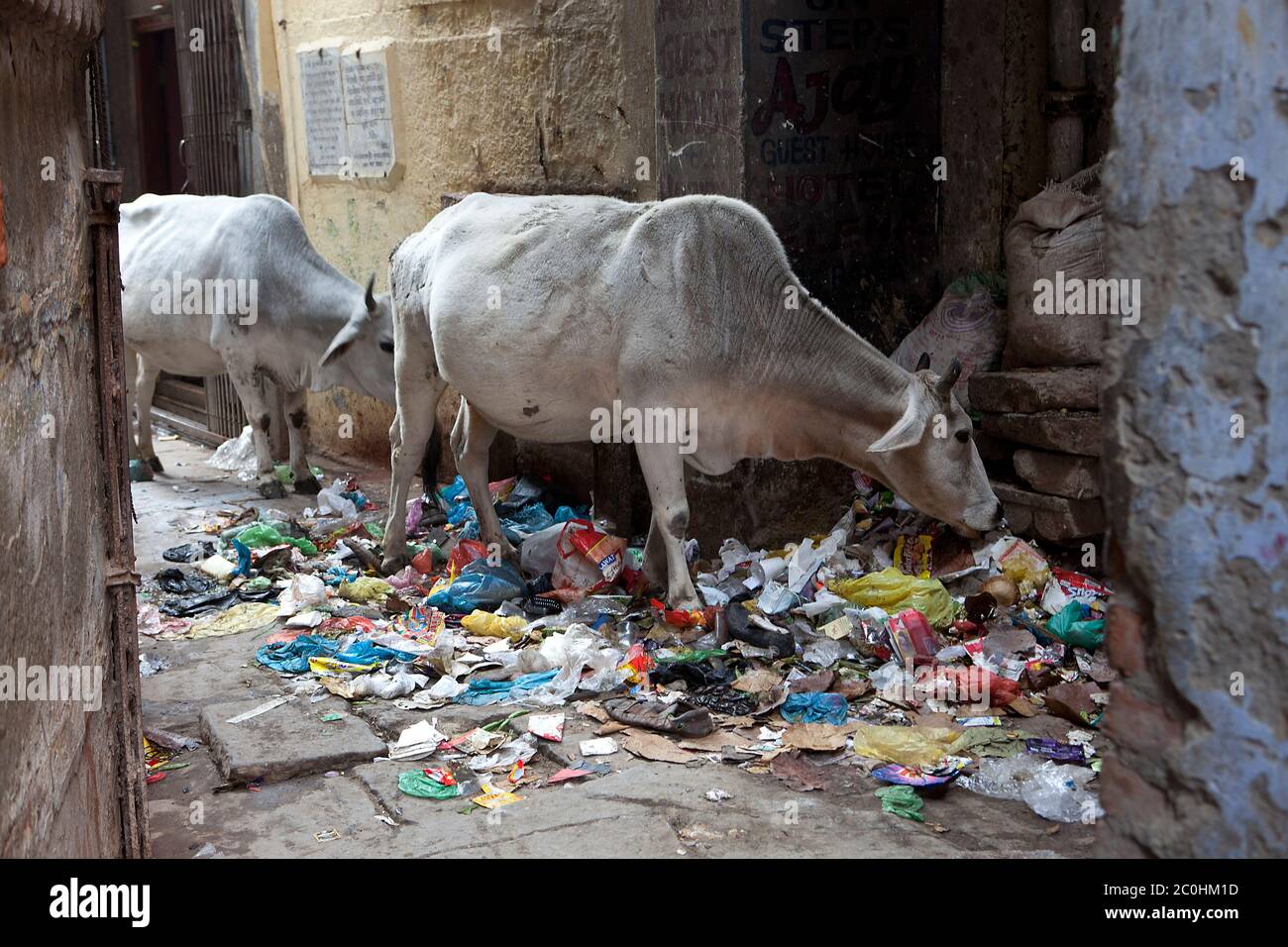 India, frammenti di vita quotidiana Foto Stock