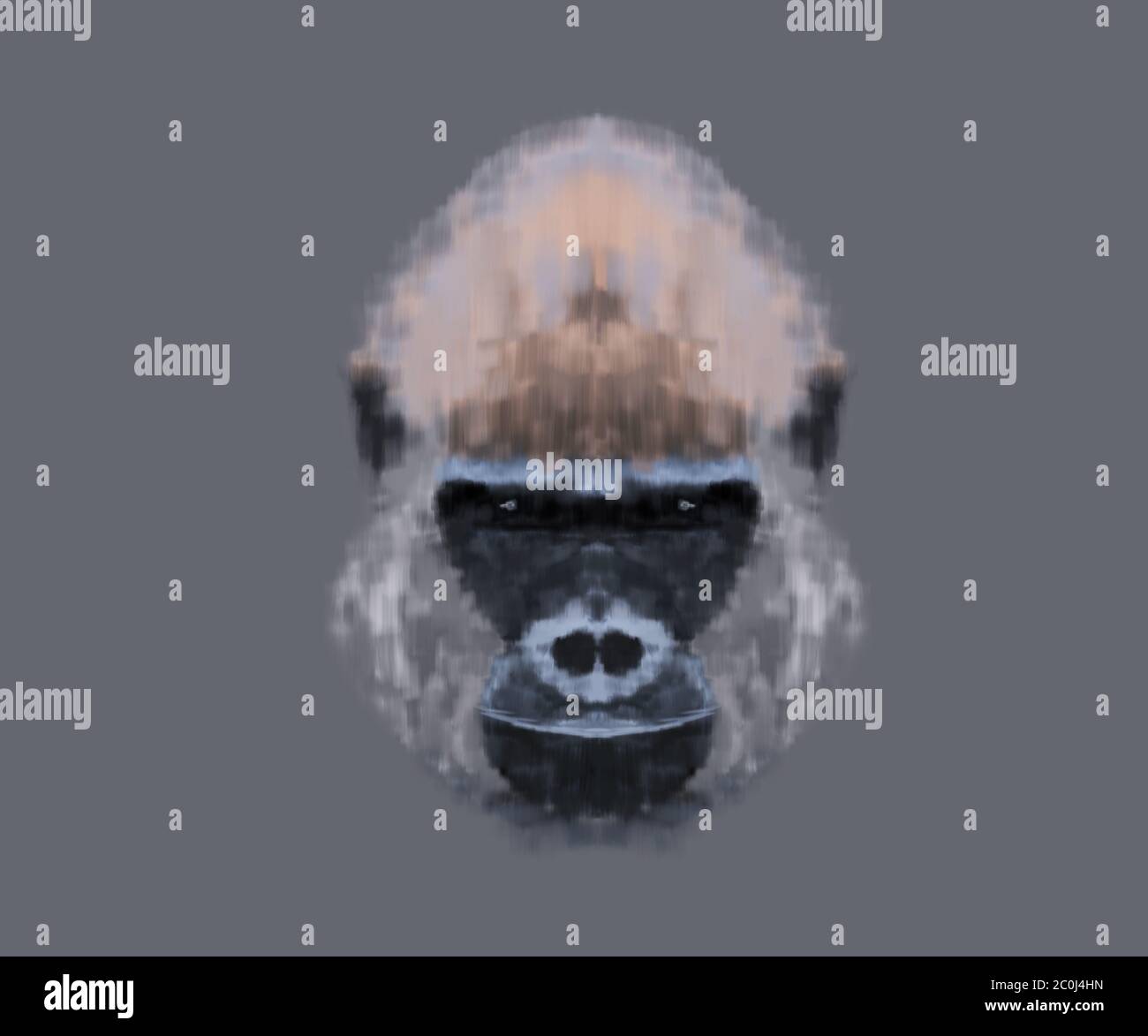 La testa di Orangutan Foto Stock