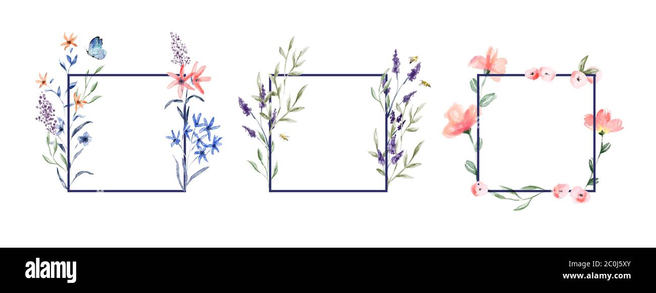 Cornice floreale ad acquerello su sfondo bianco isolato. Fiori tradizionali disegnati a mano in stile vintage con api da giardino e farfalla per il prodotto Illustrazione Vettoriale