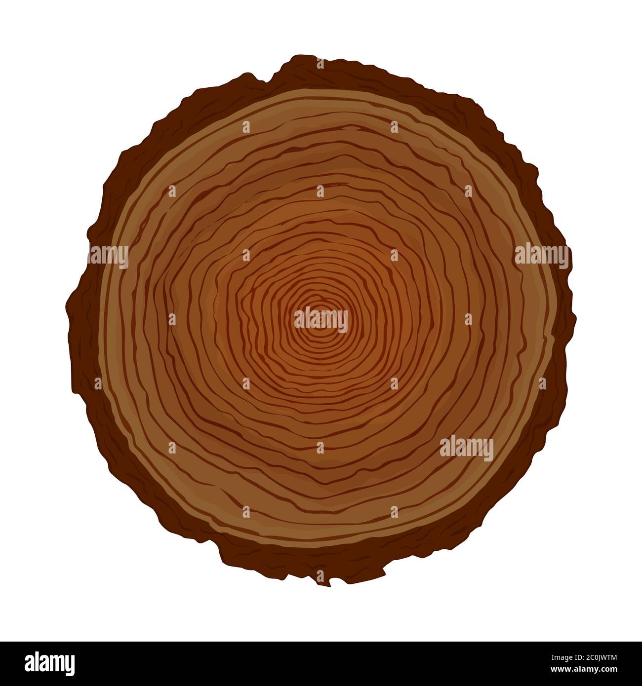 Legno albero cerchio tagliato con forme naturali anello su sfondo bianco isolato. Illustrazione del tronco di legno disegnata a mano per lo studio scientifico della crescita dell'età delle piante Illustrazione Vettoriale