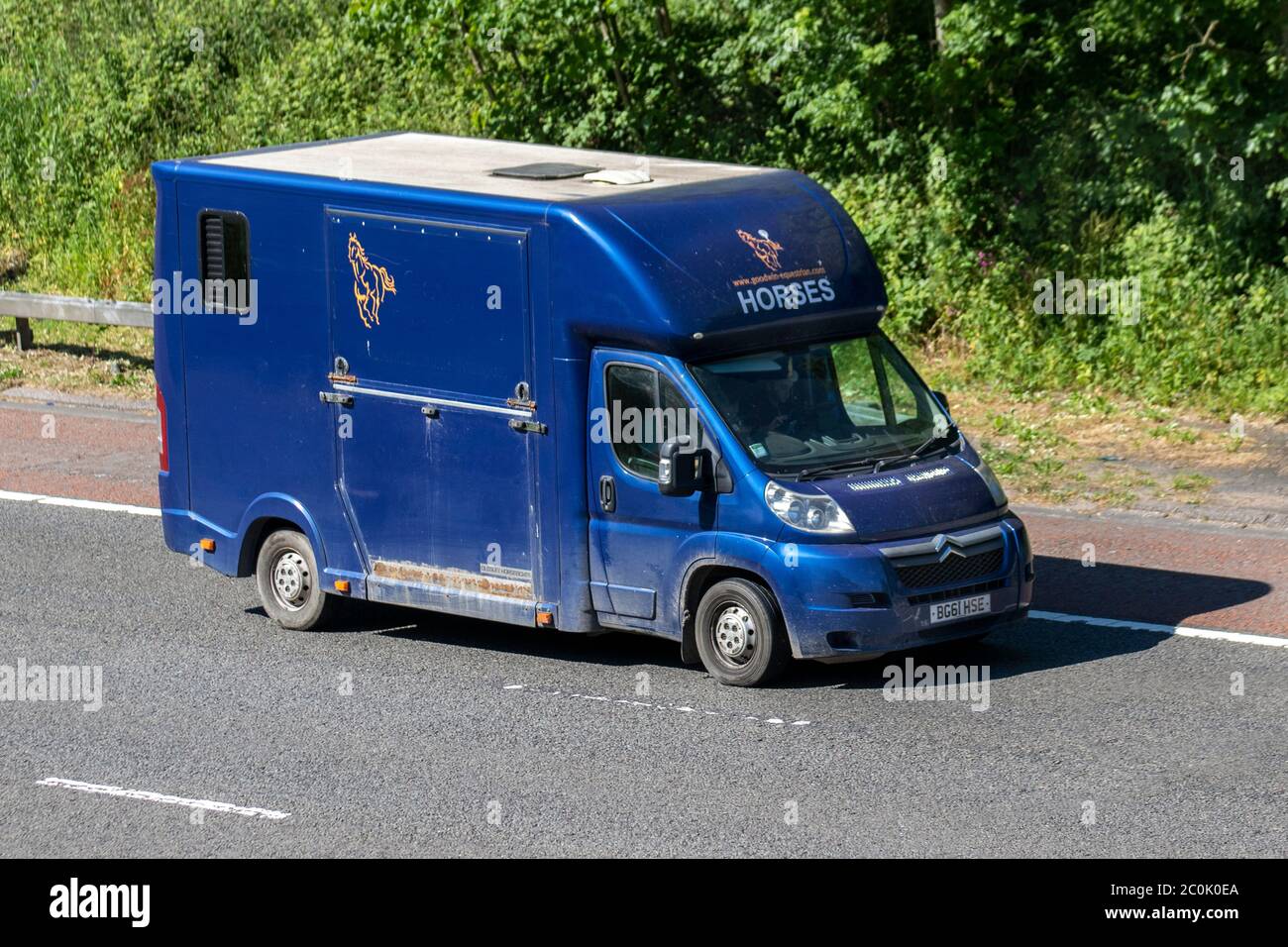 Old Quigley Horseboxes; 2011 Citroën Relay 35 L3H2 HDI, van crine box; Coach built and conversion trasporto di animali sull'autostrada M6, Lancashire, UK Foto Stock