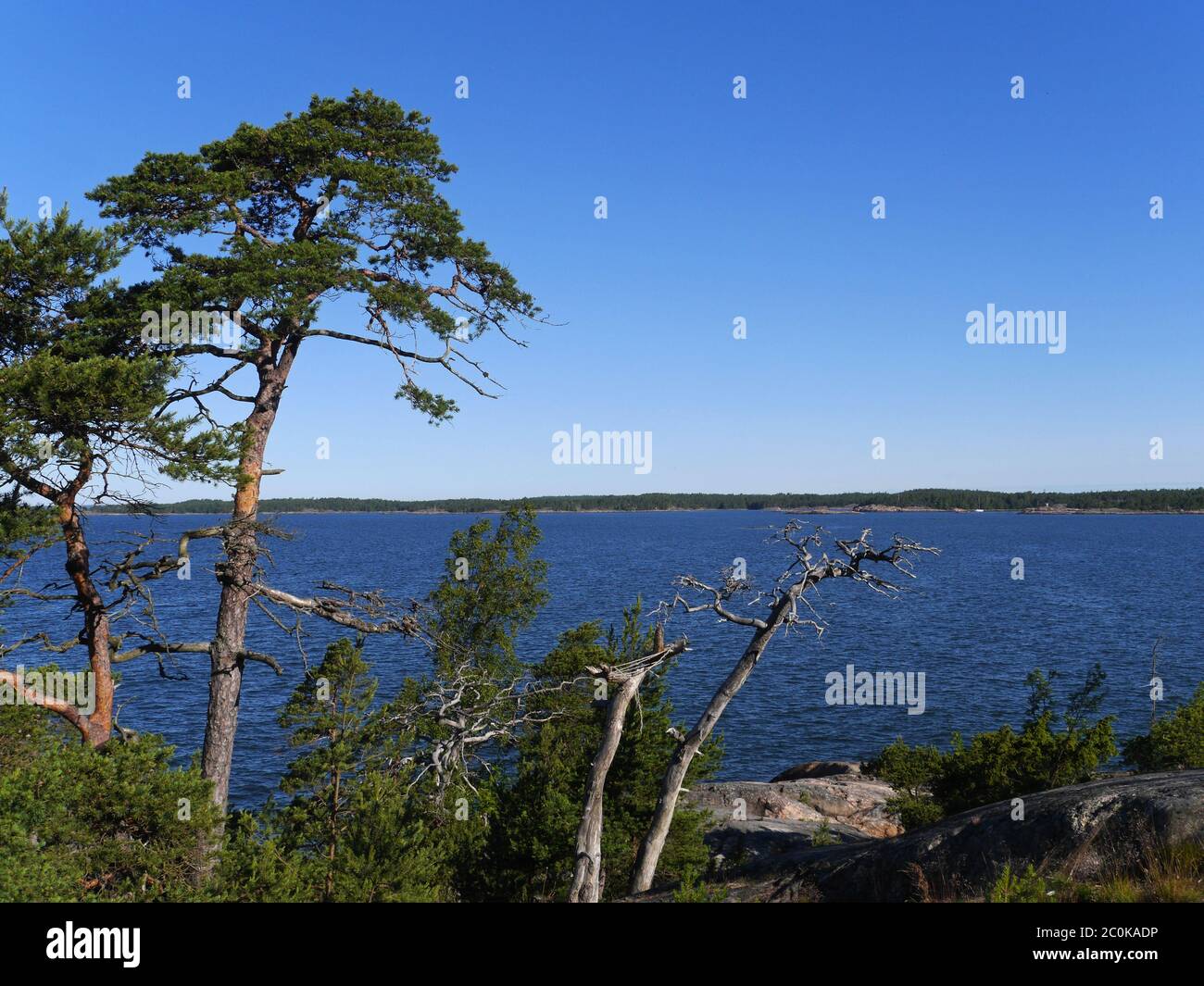 paesaggio costiero in finlandia Foto Stock