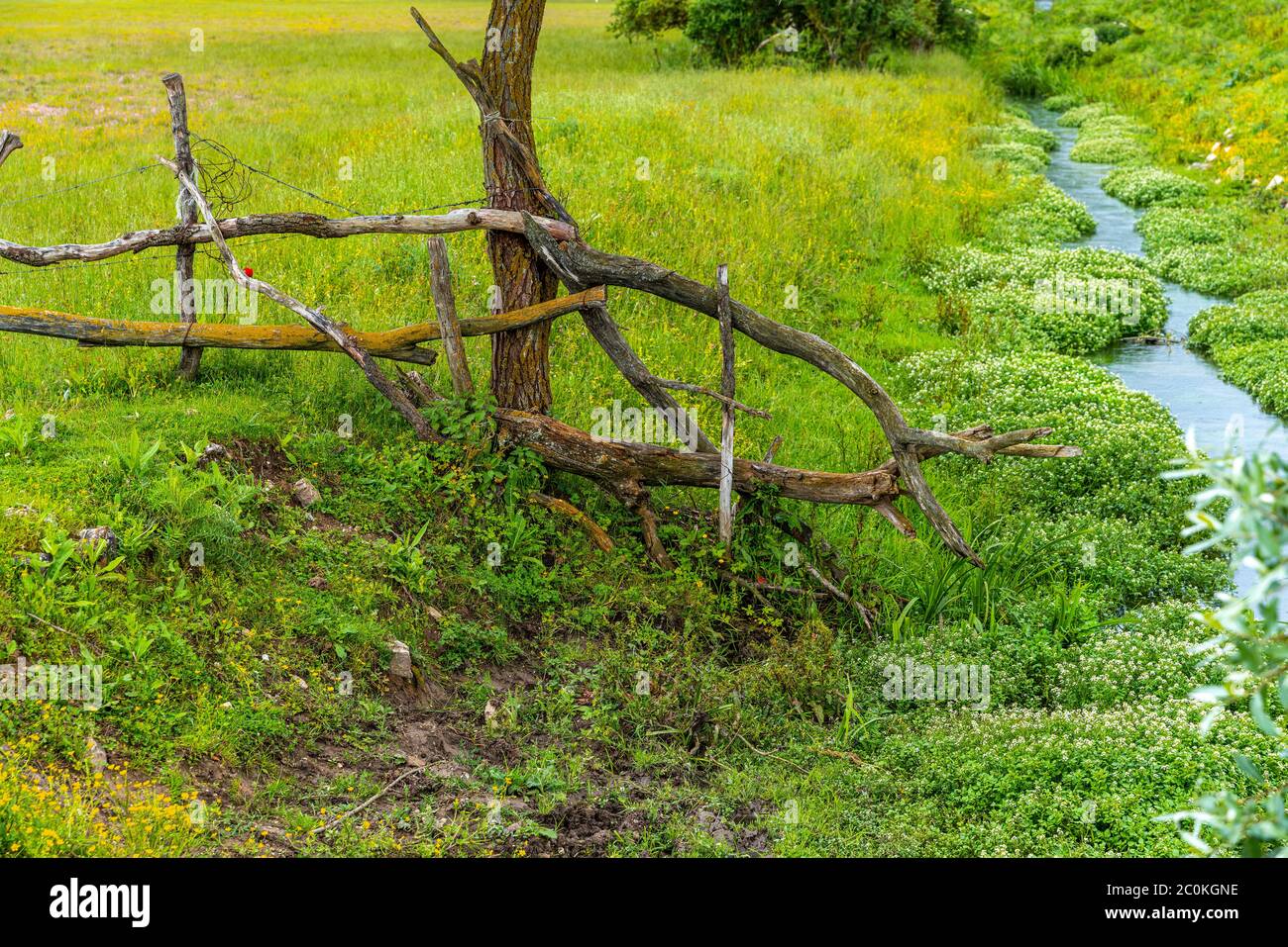 Il torrente Zittola attraversa i prati della torba di Montenero. Montenero Valcocchiara, Molise, Italia, Europa Foto Stock