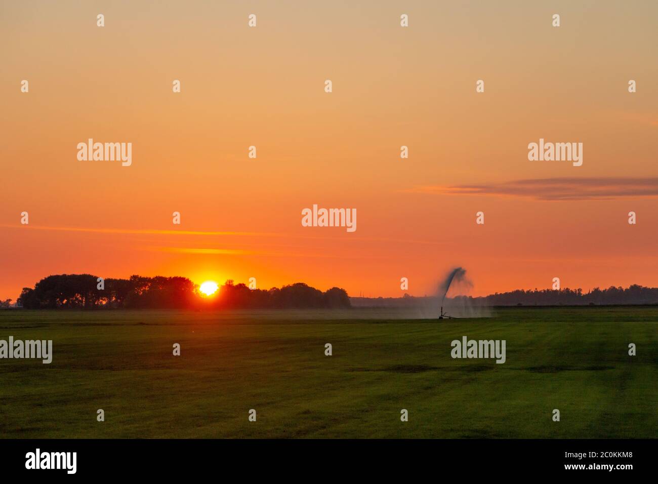 Ore serali nei Paesi Bassi, l'agricoltore irriga la sua terra e un sole tramontante, provincia di Frisia Foto Stock