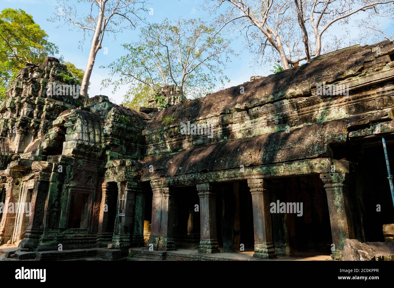 Tempio di pietra Ta Prohm Foto Stock