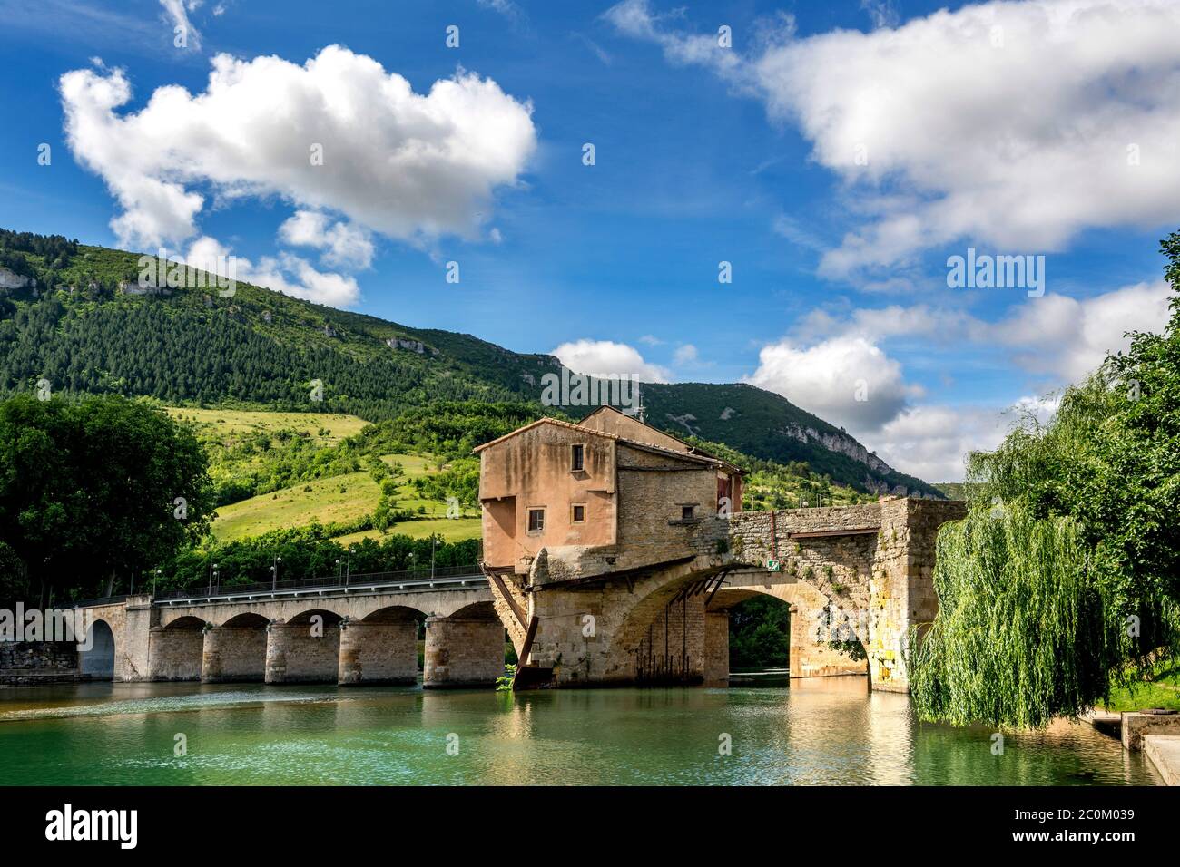 Vecchia città ponte di Millau sul fiume Tarn, Parco Naturale Regionale dei Grands Causses. Aveyron Department, Occitanie, Francia Foto Stock
