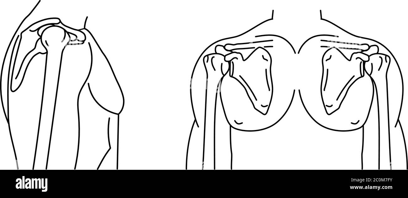 Articolazione della spalla e corpo umano - icone del contorno della vista frontale e laterale, uomini scheletrici, illustrazione vettoriale dell'anatomia umana Illustrazione Vettoriale