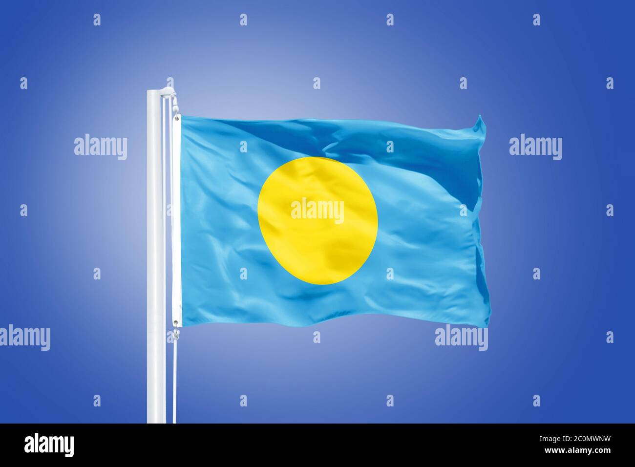 Bandiera di Palau che vola contro un cielo blu Foto Stock