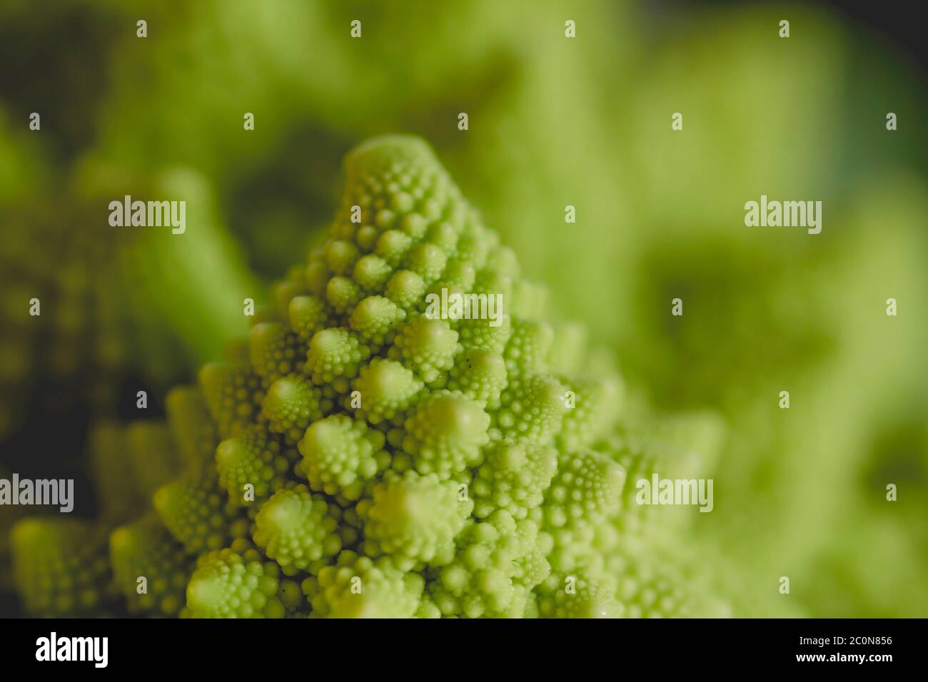 Dettaglio delle spirali logaritmiche di romanesco broccoli Foto Stock