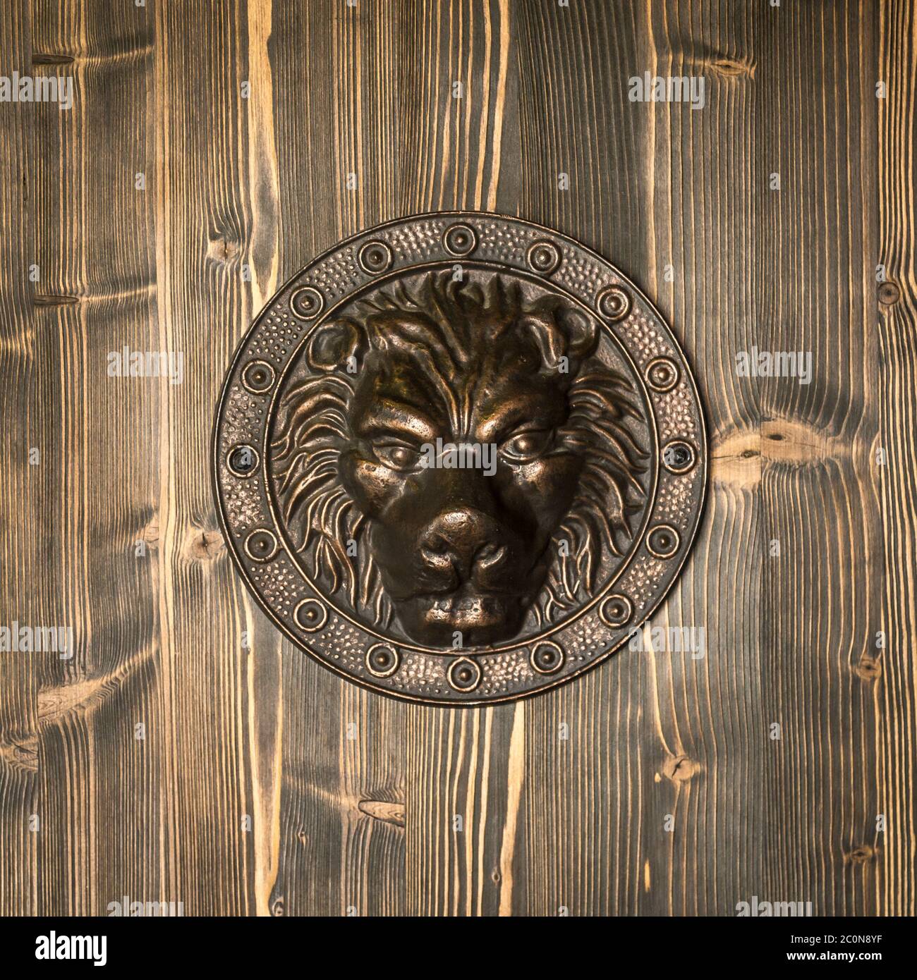 testa leone, dettagli decorativi sulla porta anteriore Foto Stock