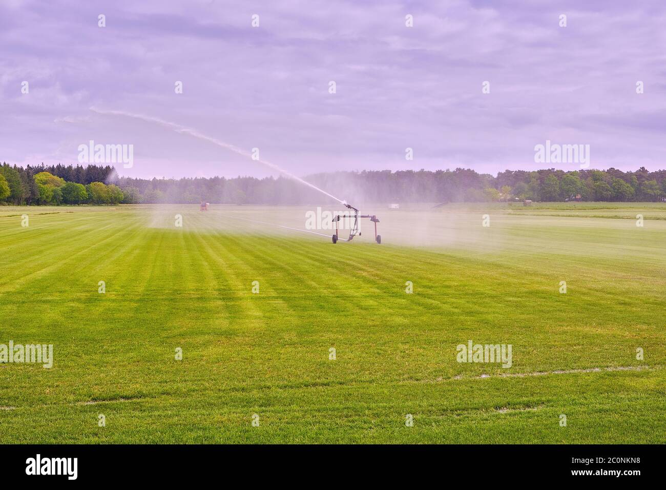 Gli agricoltori irrigano i campi a causa della siccità, i raccolti in attesa della pioggia a venire. Drenthe, Paesi Bassi. Foto Stock