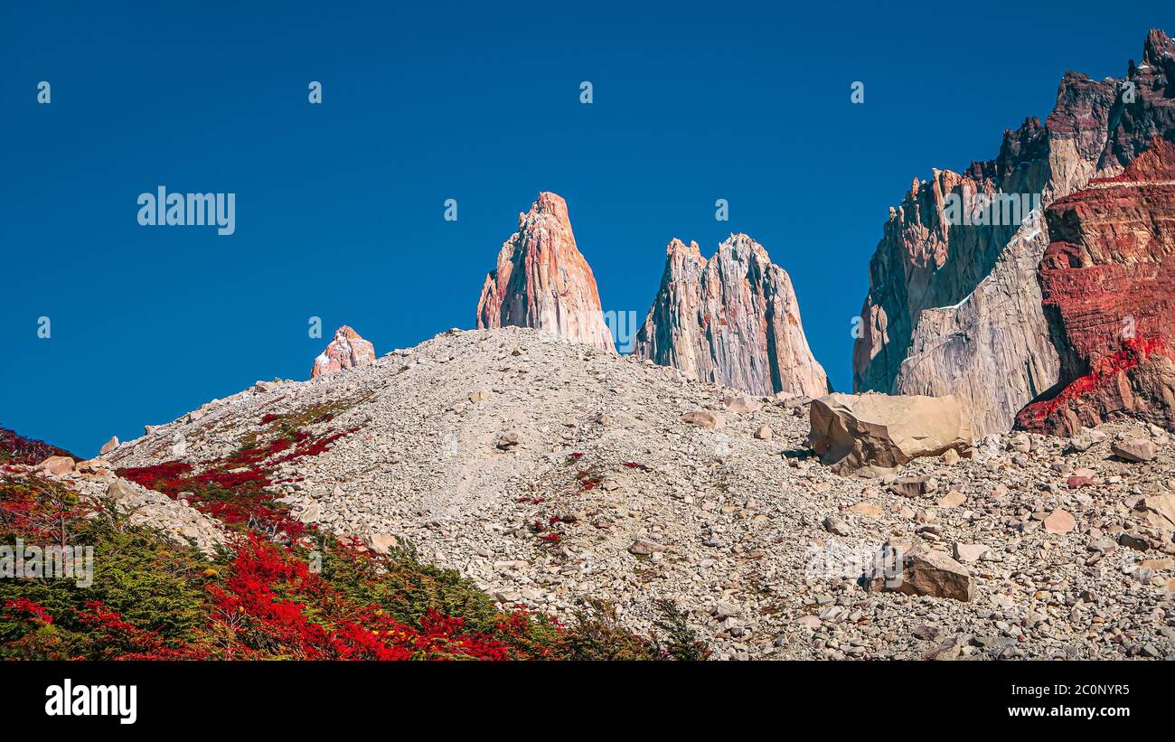 Vista panoramica sul bellissimo Parco Nazionale Torres del Paine, le sue foreste di allunga subpolari magellaniche e le alte vette dell'autunno dorato, Patagonia, Cile Foto Stock