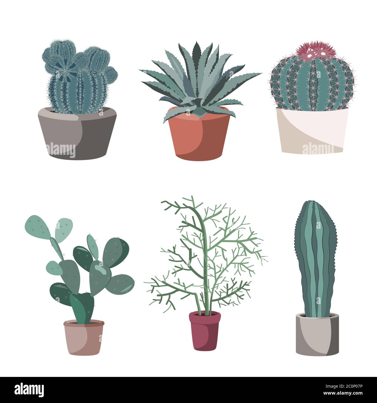 Succulento e cactus in vasi di fiori. Prickly Par, tirucalli, agave. Piante in vaso isolate su illustrazione bianca, piatta insieme vettoriale Illustrazione Vettoriale