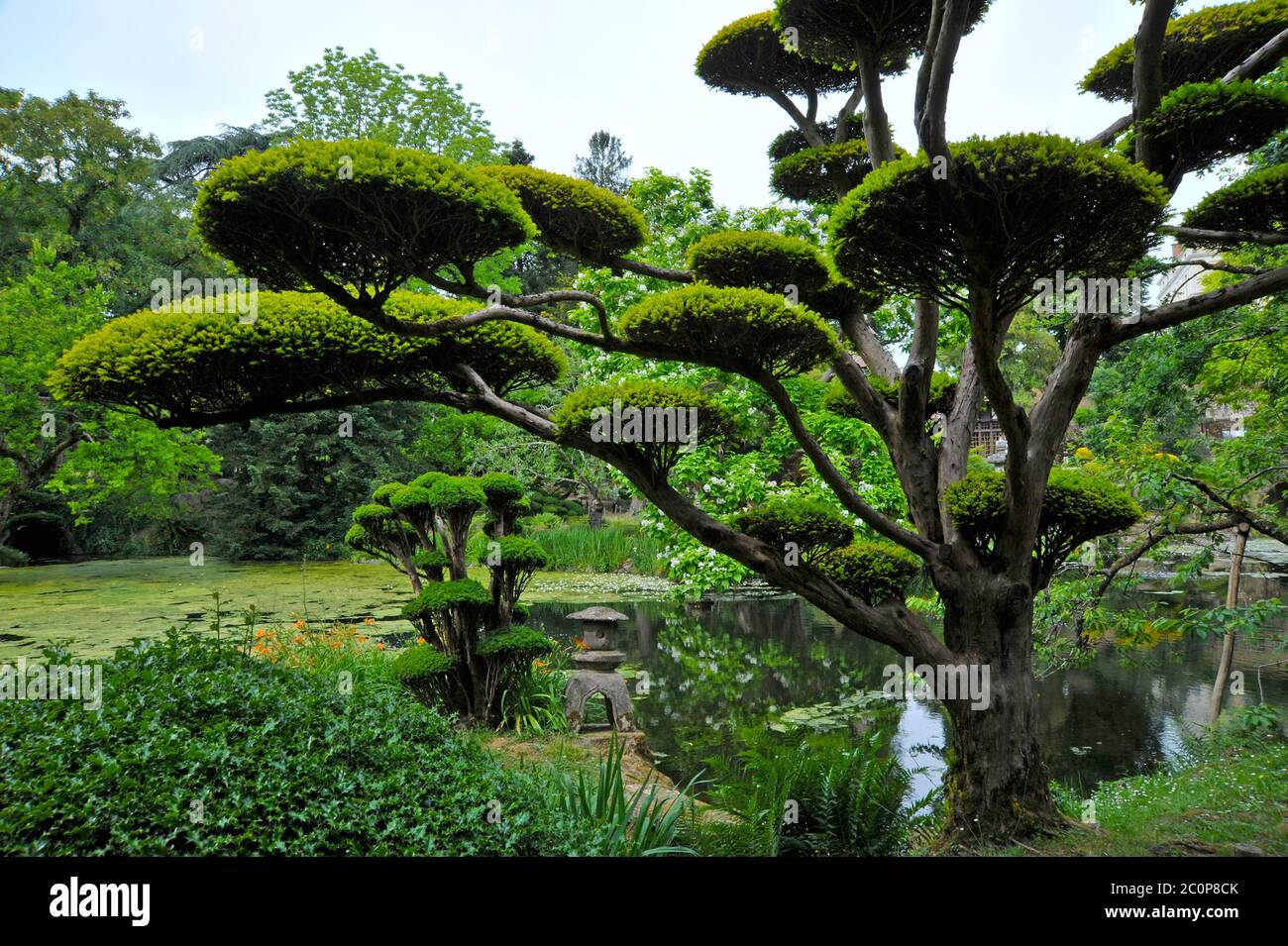 Giardini giapponesi Maulevrier Francia. Foto Stock