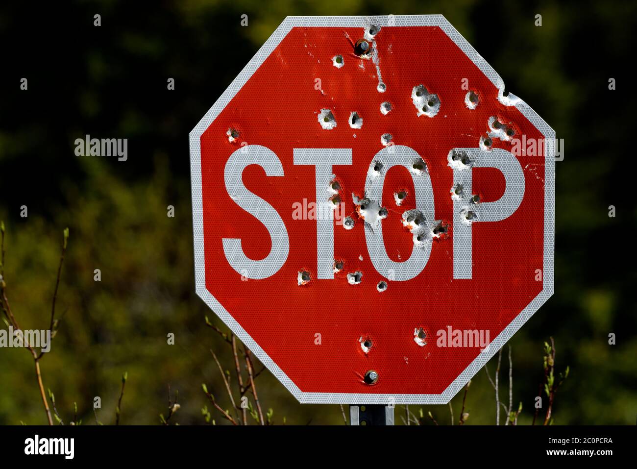 Un segnale di stop rosso su 8 lati pieno di buche, che si trova su una strada posteriore nella campagna Alberta Canada Foto Stock